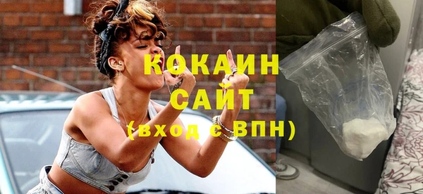 ECSTASY Алзамай