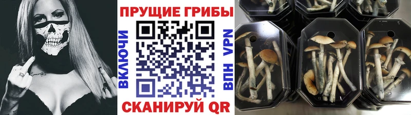 Галлюциногенные грибы ЛСД  Саки 